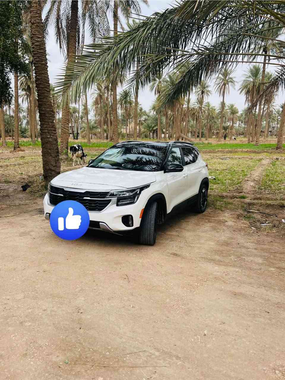 سيليتوز موديل24 ب اسمي  ماشيه 30 km
سيارة جديدة جداً بصمة فول مواصفات منعده البانوراما   حادثها قطعتين جاملخ وبنيد  
مراوس فقط بجيب


**إذا كنت صاحب هذا الإعلان وتريد حذفه لأي سبب، رجاءا أرسل رسالة إلى الدعم الفني**