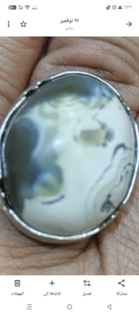 معطف • مصور واضح • سعر مرن