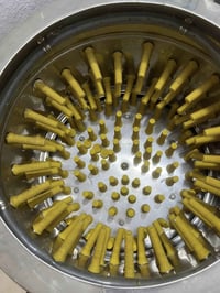 محل دجاج وسمك • ناصرية مركز اليريدهن