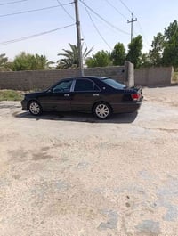 اسود فحمي • رقم كركوك • وكاله