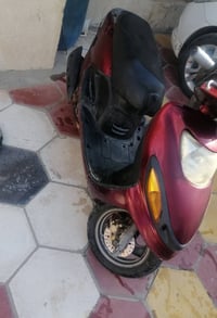 دولفين • معدل فول • سلف هندر