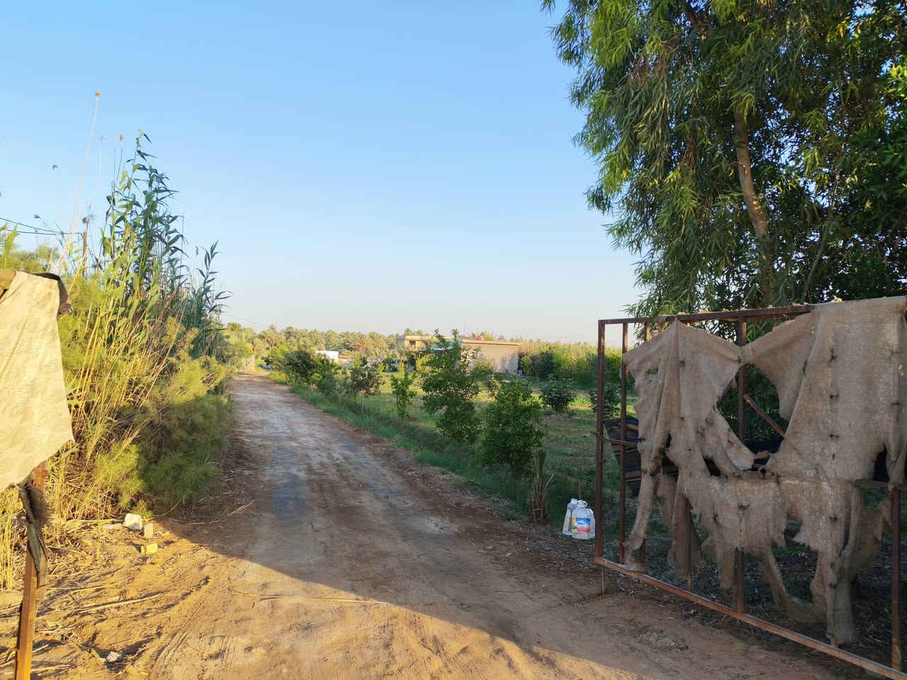 مزرعة نموذجيه للبيع المساحه ٥ دونم ونصف طابو زراعي سند 25
توجد فيها كافة الخدمات ماء اساله كهرباء
تبيلط امام المزرعه
مولدة شارع ايضاً
مغروسة بجميع الاشجار منها النخيل بمختلف الاصناف والحمضيات والفواكه 🍏ومنها دونم للعنب 🍇بجميع انواعه
فيها دار استراحه عائلي ودار للحارس مع حقل لتربية المواشي🐑 مع محميه للدواچن🐔
الموقع مميز جداً جنوب محافظة بابل ناحية الشوملي منطقة الجوادية
تبعد عن طريق السريع حله ديوانيه مسافة 3 كم وعن شارع خيگان 2 كم
للأستفسار والتواصل /***********
