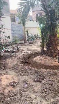 أبو الخصيب البصرة • ٢٠٠م • للبيع