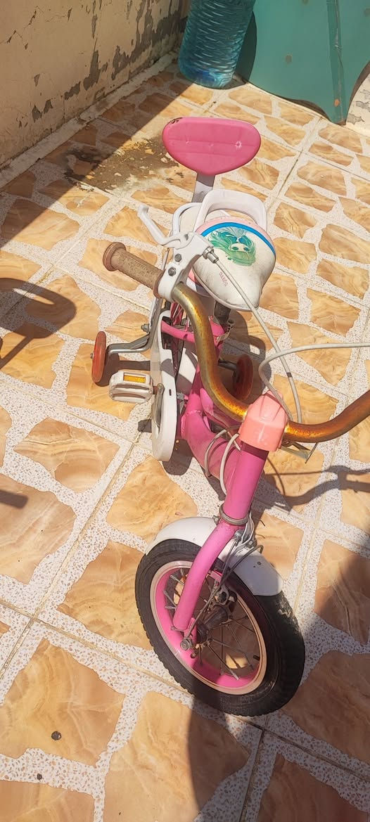 بايسكلات للبيع يحتاجاهم شويه ترتيبات
 سعر الواحد  ٢٥ 
المكان اربيل مجمع الزيتون


**إذا كنت صاحب هذا الإعلان وتريد حذفه لأي سبب، رجاءا أرسل رسالة إلى الدعم الفني**