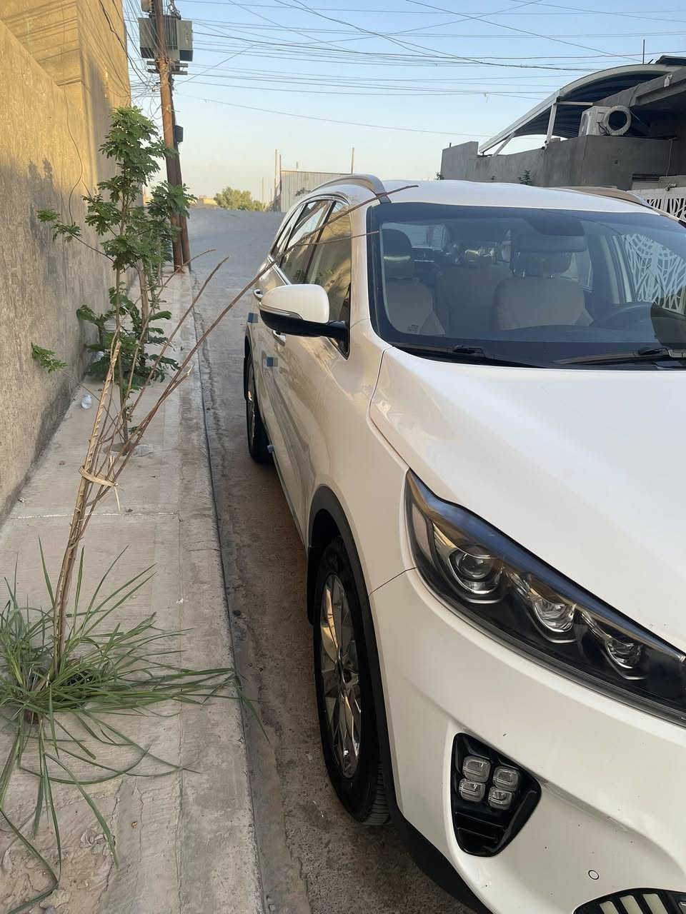 السلام عليكم سورنتو 2020 خليجي بغداد 6 سلندر 7 راكب 3 قطع تبريد صندوق كهرباء رقم إنكليزي جديد هزه جديده بسمي تحويل مباشر تخم تاير جديد المقدس منازل ماشيه 45 مكفوله كفاله عامه مكاني بغداد الزعفرانيه  ***********
