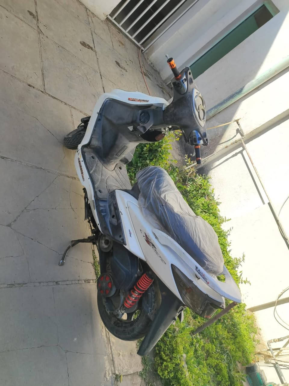 السلام عليكم ورحمه الله وبركاته
للبيع سكنس فحل شغاله نص نكره مكينه تخبل شلعه معدل فول للبيع مكاني بغداد العطيفيه قرب جامع براثا سعر450الف قفل هاتف***********
