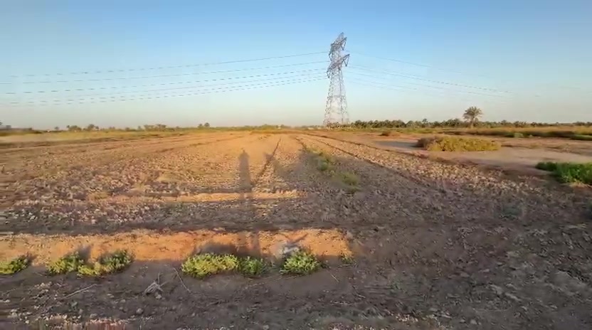 🏞️3دونم للبيع خلف جامعة بابل بدايه منطقه ابراهيم الخليل 
📝طابو زراعي سند 25 تحويل مباشر 

واجهة الأرض 38,متر يتوفر بيه ماء سقي صيف وشتاء 

سعر مناسب جداً للاستفسار اكثر الاتصال ***********
