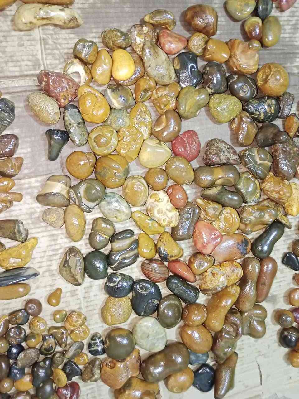 سلام عليكم أحجار لبيع اذا شلع
اساهلك بسعر ، سلطاني ، جزع يماني ذمه ، لزورد خام اصلي 
عباس أباد عنوني بغداد البياع ***********
