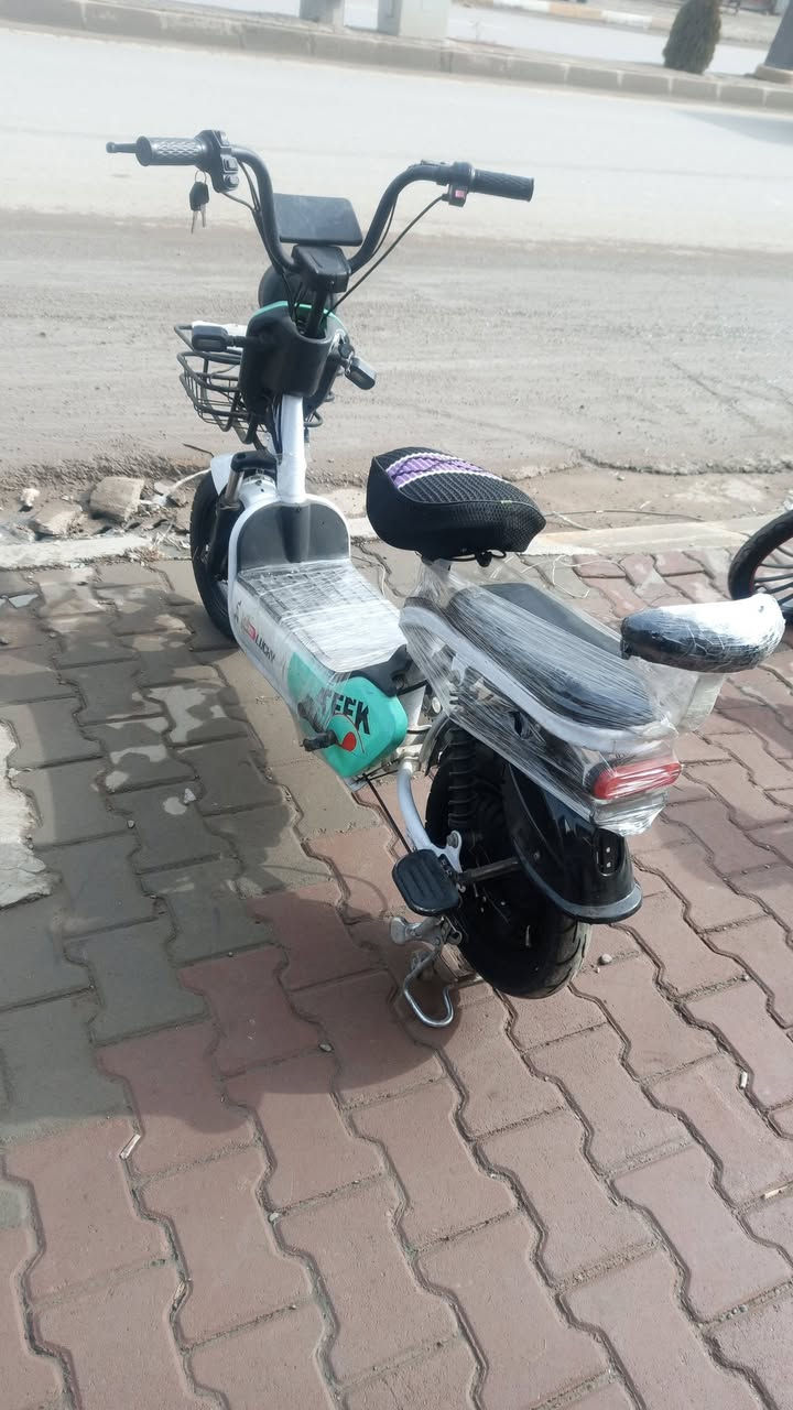 السلام عليكم
بايسكل شحن للبيع 
موديل 2025 
حجم 14
نشاط فول 
3 تبديلات 
تشغيل ع بصمه وصويج 
بطاريات شرط ع فحص جدد 👉👉 
السعر 175 وبي مجال قليل 
مكاني الشرقاط قرب كراج الشرقاط 
رقم الهاتف ***********
شحن مايصرف شرط خدمي
