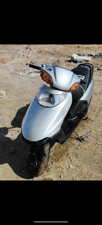 سبيسي ياباني • كابريتر اصلي • كوت غابات الكارضيه