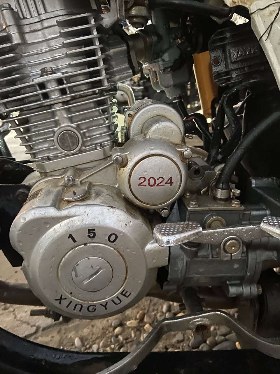 ستوته البيع رقم و سنويه  مكاني ديالى جلولاء 
السعر  اتصال على هذه الرقم ***********
