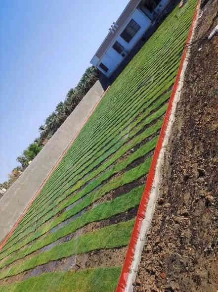 ثيل الطبيعي
للحجز والاستفسار الاتصال على الارقام 

*********** 

 تجهيز كافة المشاريع  والمساحات الخضراء

توصيل كافت محافظات
