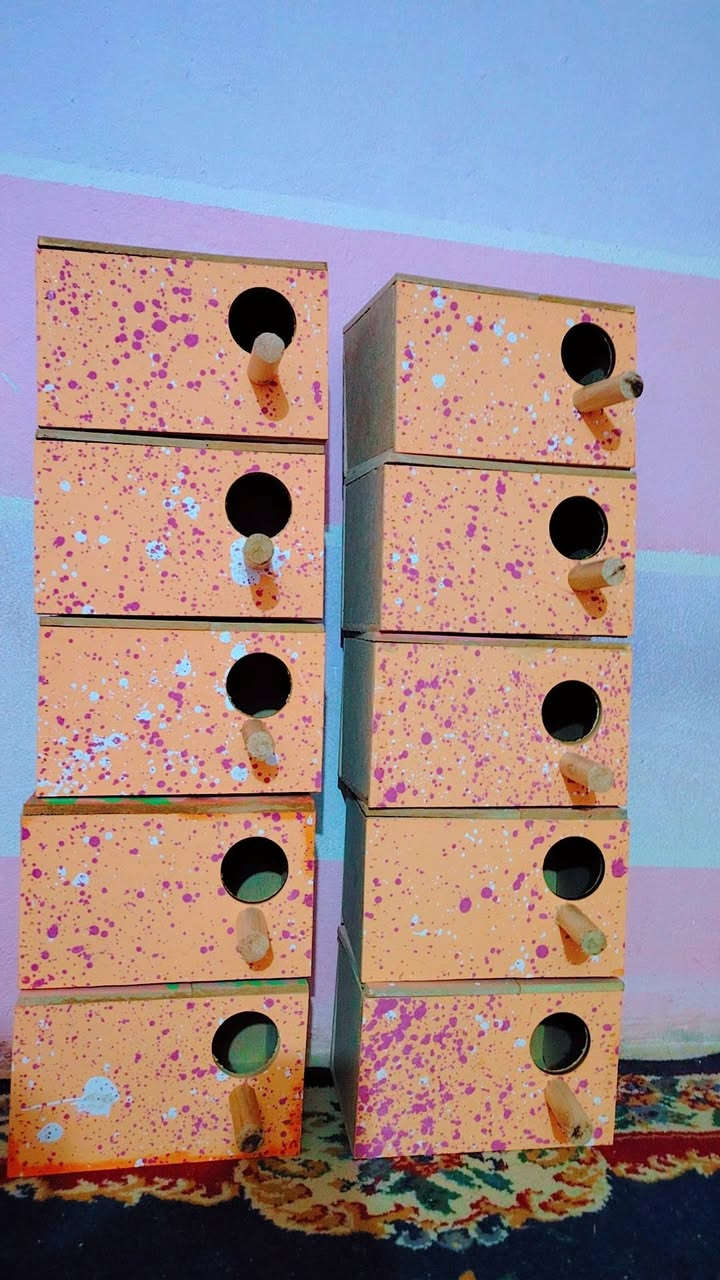 بيوت🏡طيور الحب🦜او جاوه او فنجس🦚سعر البيت🏡الفين ونص💸مكاني واسط قضاءالحي وره مستشئ فيروز🏥خاص او تصال ***********
