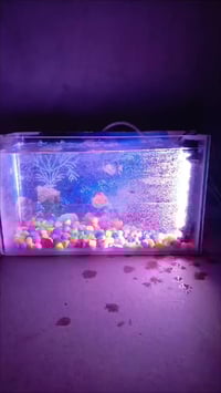 حوض سمك • نجف حي الوفاء • قابل للتفاوض