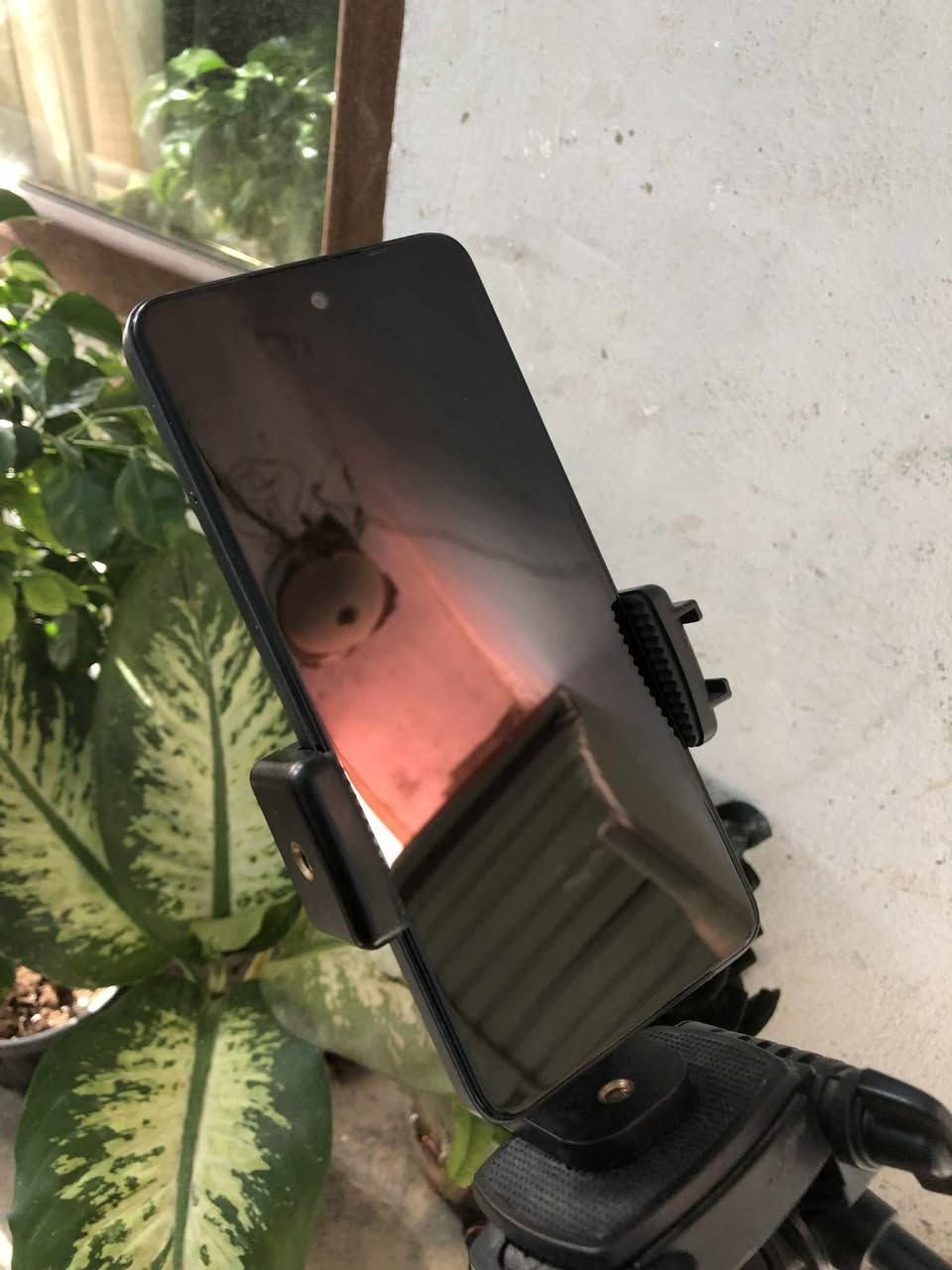 سلام عليكم ... مكاني كركوك
جهاز تيكنو سپارك كو 2024 جهاز مستعمل 5 ايام فقط بعده غراضه كبس ذاكره 64 كيكه رام 4 بطاريه 5200 منفذ الشحن تايب سي دبل سيم كارت او رام بصمات 2 وجه والاصبع غراظ كارتون او شاحنه او كيبل او كفر بعدهن كبس للبيع او مراوسه سعر 90 الف بي مجال شي قليل شراي اتصل ***********
