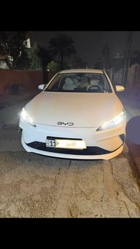 سيل 5 • ٢٠٢٥ • ماشيه ١٨٠٠