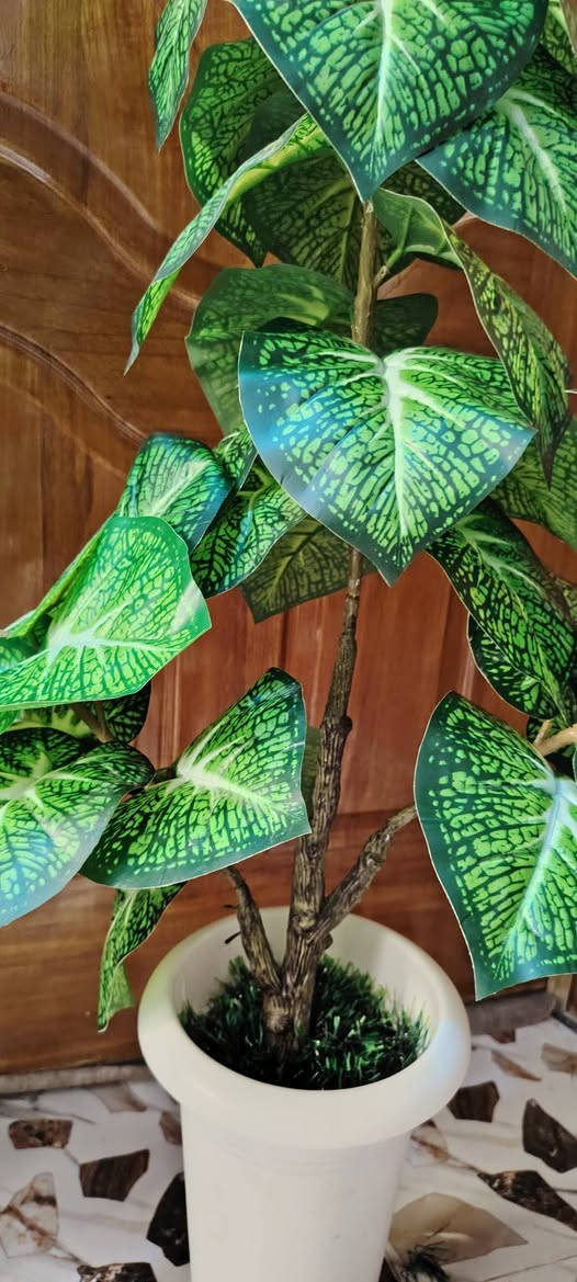 أشجار  خضار وسنادين ورد بأشكال جميله وقياسات مختلفه جمله ومفرد للطلب راسل البيج او الاتصال ب الرقم *********** واتساب نفس الرقم
