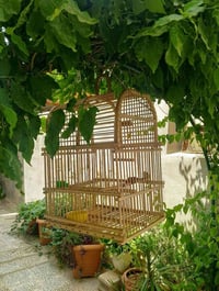 قفص طيور للبيع نضيف للتواصل 07701003226