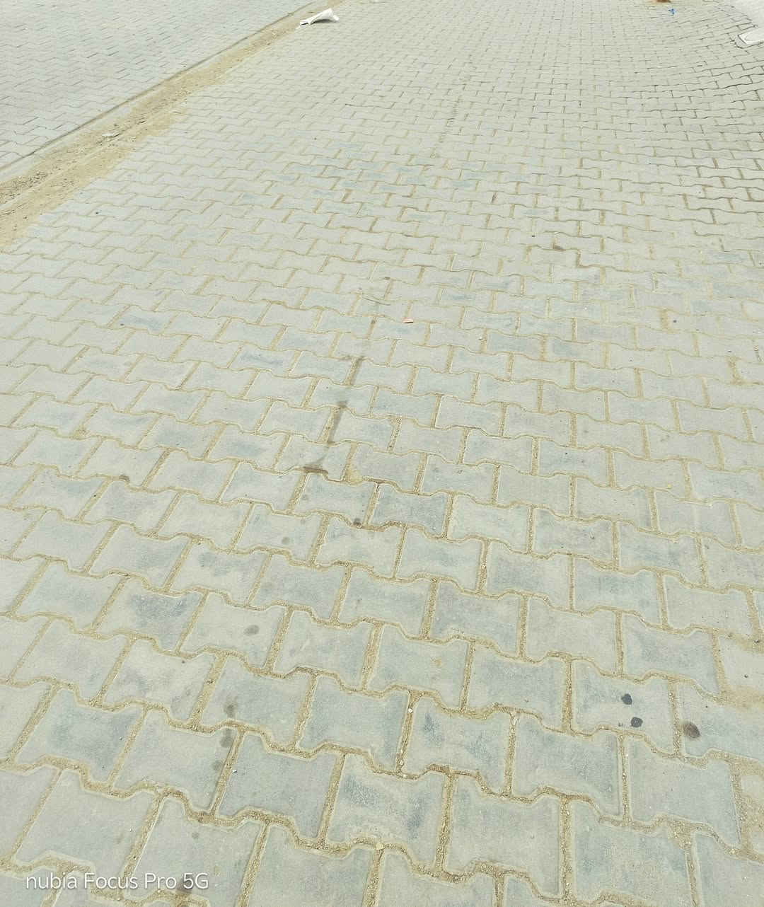 قطعة ارض طابو زراعي مساحة 200 وجها 10 شارع 10 متار مقرنص كهرباء ماء مجاري جميع الخدمات عنوانها الشارعين مال سيد هاشم خلف منطقه الرشيد بضهر. محلات الاخوين للعروض السعر 60 وبيه مجال بسيط ***********  اتصل مكلف بنشر
