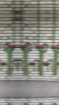 غيث الطائي • تأسيس صحيات • بغداد حصراً