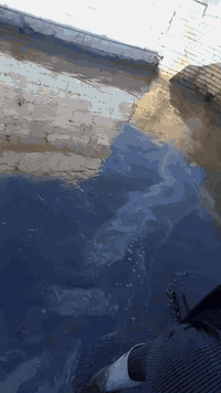 صب • نضافة • حي الشهداء