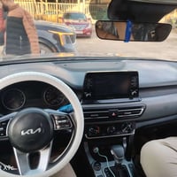 سيلتوس • ٢٠٢٣ • حله بابل