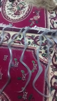 انطوني • بيهن • بالعافيه