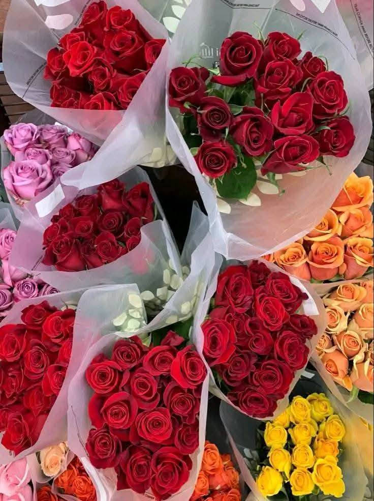 #عيدالحب ويانا غير توجد كل انوع الهديا
#هدايا
#حب 
#محافظات
#بغداد


**إذا كنت صاحب هذا الإعلان وتريد حذفه لأي سبب، رجاءا أرسل رسالة إلى الدعم الفني**