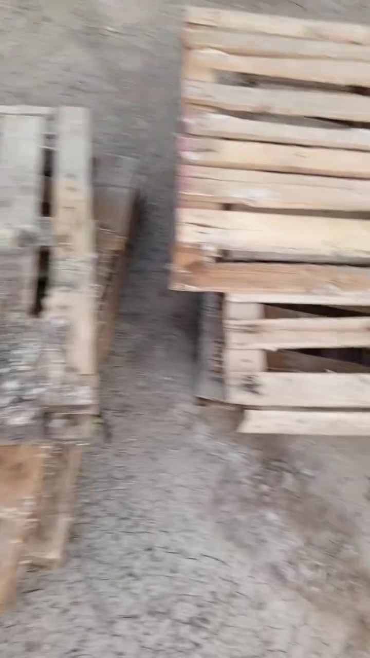 اسكيبات نظيفات على 3000


**إذا كنت صاحب هذا الإعلان وتريد حذفه لأي سبب، رجاءا أرسل رسالة إلى الدعم الفني**