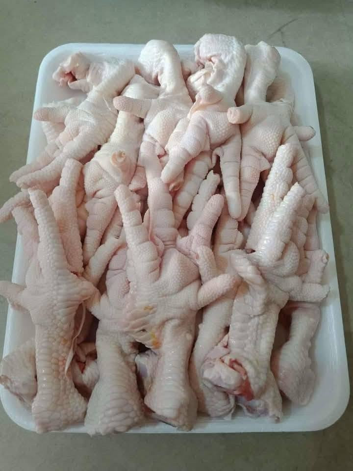 دجاج لل عده حيوانات سعر الكيلو 500 واكو توصيل


**إذا كنت صاحب هذا الإعلان وتريد حذفه لأي سبب، رجاءا أرسل رسالة إلى الدعم الفني**