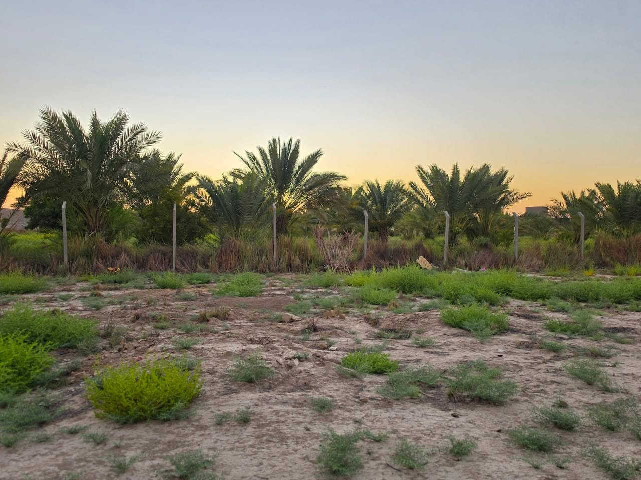سلام عليكم  قطعة أرض للبيع 390متر  سند 25 مداور بأسم المشتري وجهه19ونص م نزال 20 م العنوان خلف حي الحضاره البو جاسم نزلة اسواق الجود واذا تريد 200متر هم تنباع  الاستفسار ***********+*********** واتساب  ***********ا
