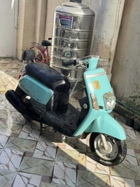 ماكس بوليسي • نوزل • ابوصخير