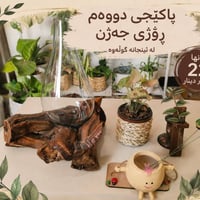 باقات احتفالية • سعر مناسب • كمية محدودة