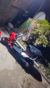 مطور • نحلة • مكينة كايم