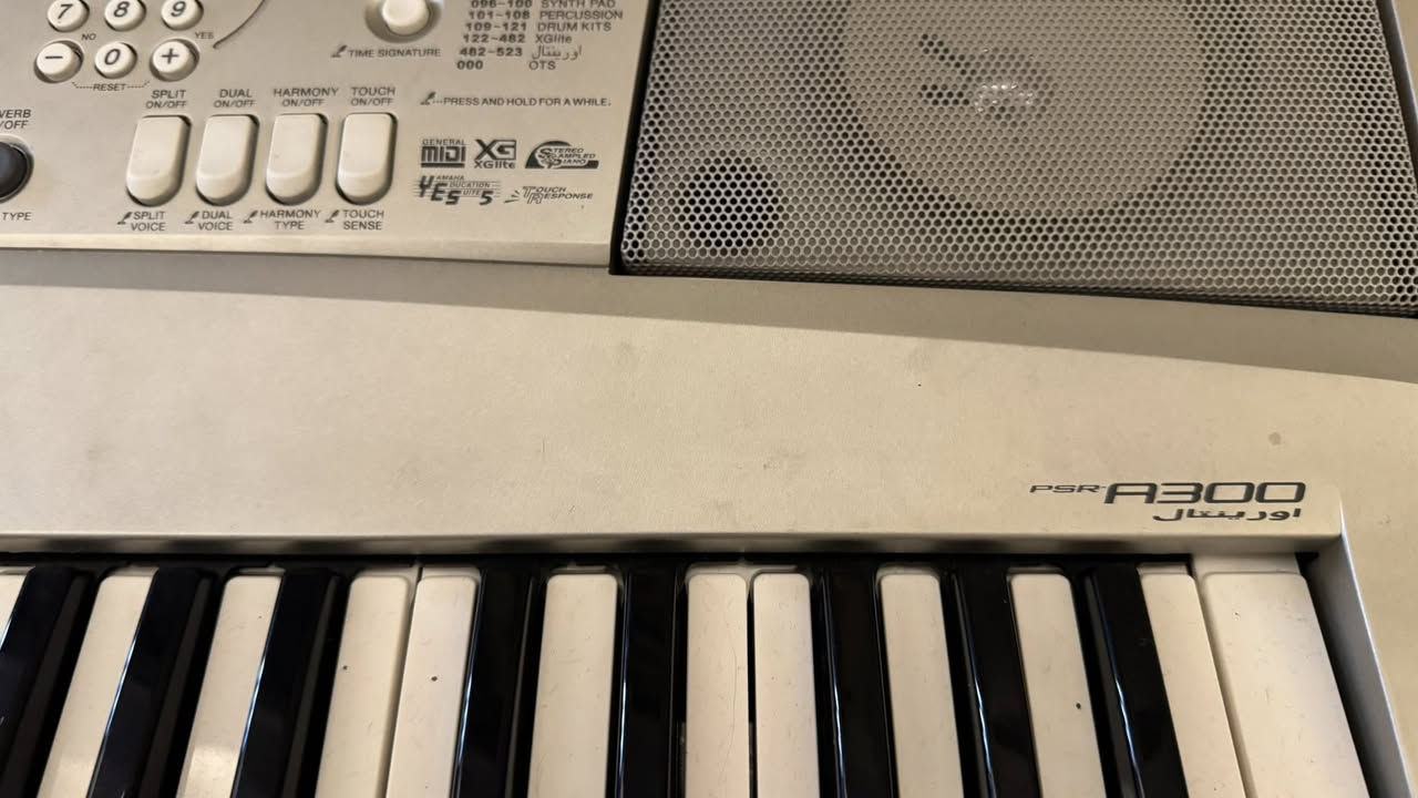 اورك ياماها a300 اورينتال نظيف جدا السعر 250


**إذا كنت صاحب هذا الإعلان وتريد حذفه لأي سبب، رجاءا أرسل رسالة إلى الدعم الفني**