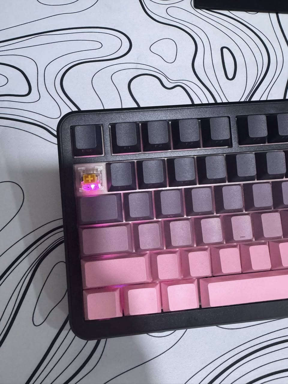 كيبورد ميكانيكي RGB جديد للبيع 🔥
 • نوع: كيبورد ميكانيكي (75%)
 • إضاءة: RGB متعددة الأوضاع 
 • اتصال:
✔ واير (USB-C)
✔ بلوتوث
 • بيه زر دايل للتحكم بالصوت 🎚️
 • حالة: نظيف جدًا استخدام خفيف
 • مناسب للألعاب والكتابة ويجي ويا القالعه مالته
Yellow switch سوتش اصفر 

📌 ملاحظة: ماكو دنجل (يشتغل واير أو بلوتوث عادي)

💰 السعر: (35وبي مجال)
📍 الموقع: (الحله)
📩 للتواصل خاص


**إذا كنت صاحب هذا الإعلان وتريد حذفه لأي سبب، رجاءا أرسل رسالة إلى الدعم الفني**