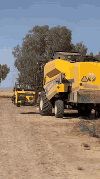 السلام عليكم حاصدة للبيع موديل 2020

خمسة بلم اوربي فول مواصفات حجم 5.90  للاستفسار الاتصال برقم ***********
