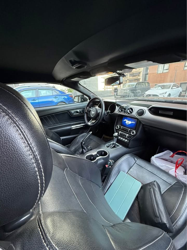 للبيع فور موستنك 
الموديل: 2019
الضرر: حادث جانبي جمالغ سكن وباب سكن وربع جاملغ خلفي صبغ بدون دواخل بدون ارباك
مكينة وكير بشرط
ممشى السيارة 78 الف مايل
سنوية باسمي تحويل او وكالة بشرط
عنواني اربيل 
السعر: 134 وبي مجال بسيط
واتس:
*********** أربيل, العراق
