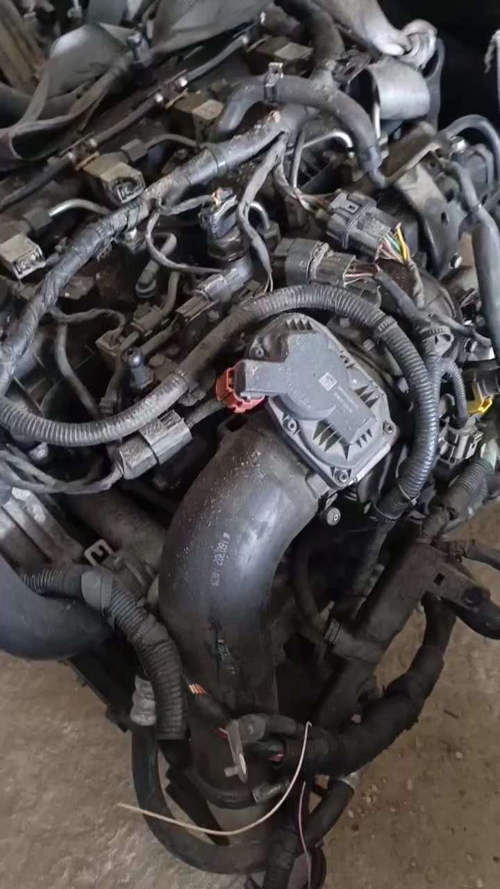 #اتش_وان_136_حلب_بستان_الباشا_توصل_معنا_0937334137


**إذا كنت صاحب هذا الإعلان وتريد حذفه لأي سبب، رجاءا أرسل رسالة إلى الدعم الفني**