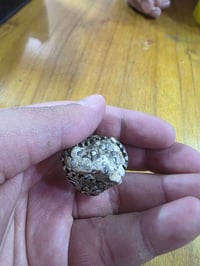 محبس • حجر زوعة الحية • قيمة