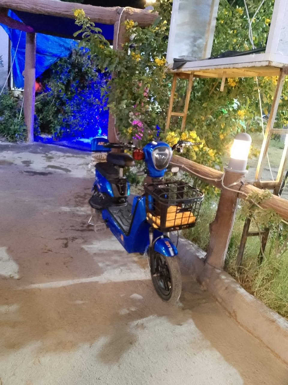 سلام عليكم دراجه شحن البيع موديل2025 دراجه جديد بعده زيرو بطاريات جدد حجم14 لايت علي وناصي اشاير بيدام 3نمر بي بايسكل مكفول جديد شخط مابي السعر200وبي مجال مكاني نجف حي ميسان رقمي7885572347


**إذا كنت صاحب هذا الإعلان وتريد حذفه لأي سبب، رجاءا أرسل رسالة إلى الدعم الفني**