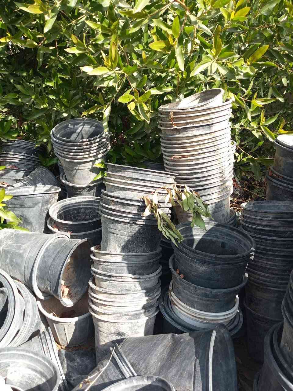 سلام عليكم سنادين زراعه للبيع ٨ بالف عندي عدد شكد ما تريد واني بخدمه الطيبين


**إذا كنت صاحب هذا الإعلان وتريد حذفه لأي سبب، رجاءا أرسل رسالة إلى الدعم الفني**