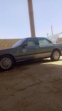 سيزر للبيع السعر 30  07816351018