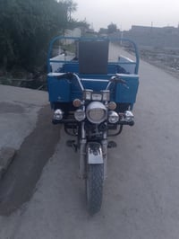 ستوتة • اوراق • ٢٠١٥