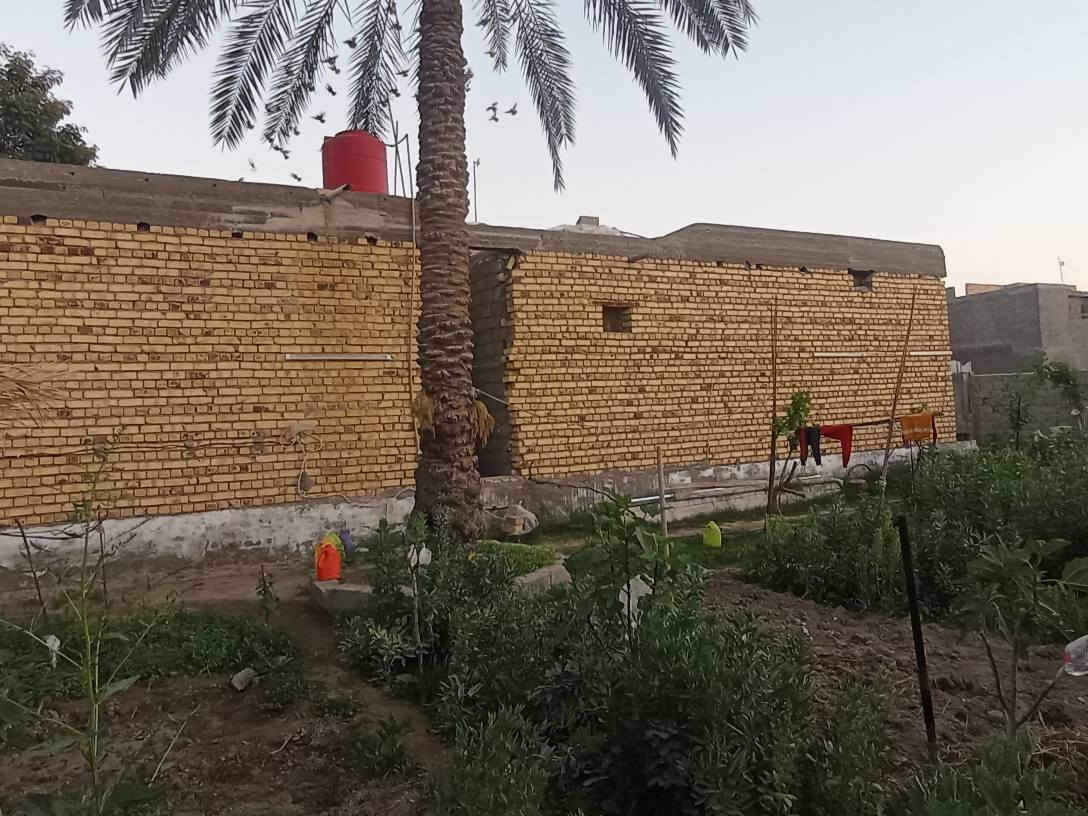 سلام عليكم يتوفر قطع ارض مساحتها 420متر جنس الأرض ملك صرف زراعي حق التصرف موقع مميز قرب أثار بابل مشيد عليهى هيكل مسقف مئسس ماء كهرباء مجاري كافت الخدمات متوفره الي يحب يتواصل رقم الهاتف وتساب *********** حلة, بابل
