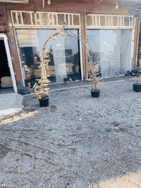 #مخزن_للأيجار 
المساحه 240متر 
الموقع حله شارع 80 مقابل مول نون او البنزين خانه الجديده 
يصلح خزن مواد انشائيه او احتياطيه او غذائيه
للاستفسار 
***********
