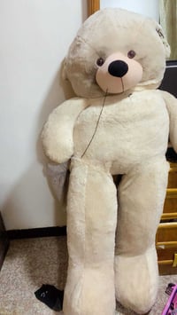 دب • ١٠٠سم • خياطه