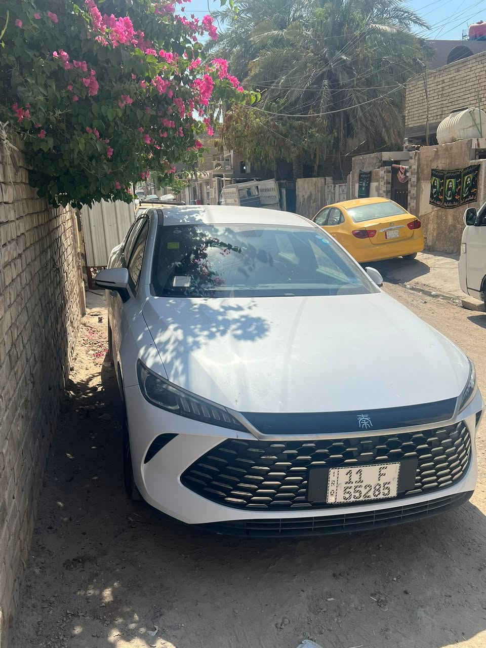 بي واي دي كن بلاص كفاله ماعده طختين بالدعاميه وما مبينات ويل كروم ماشيه ٩٠٠ بحاله الشركه  السعر ١٩٤٠٠


**إذا كنت صاحب هذا الإعلان وتريد حذفه لأي سبب، رجاءا أرسل رسالة إلى الدعم الفني**
