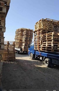 مطلوب سكب شكد ما موجود اتصال 07706252583