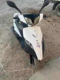 ماكس ثعلب • جديدة • ما مفتوحه